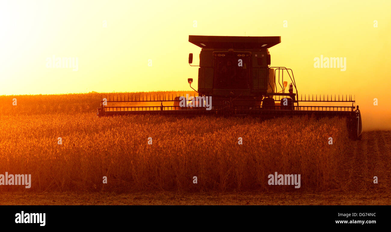 John Deere Mähdrescher erntet Sojabohnen Stockfoto