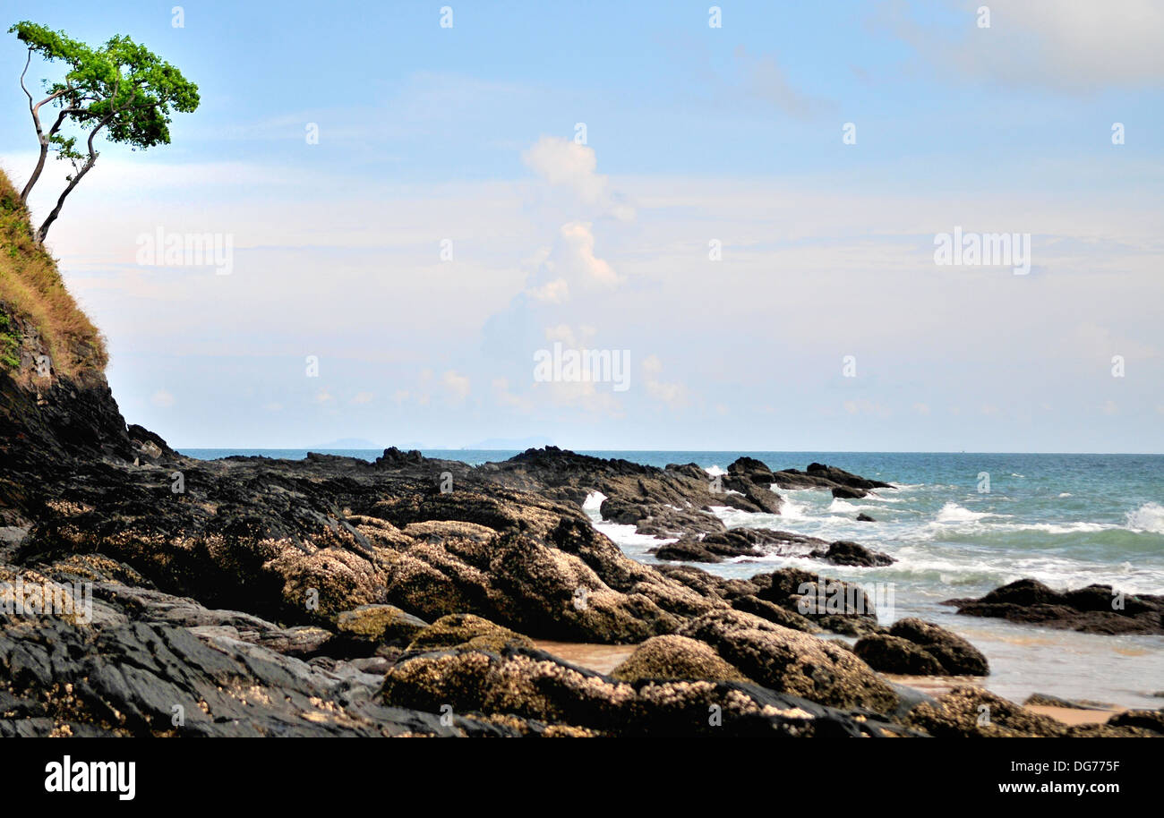 Tropischen Küstenvegetation, Koh Lanta, Thailand Stockfoto