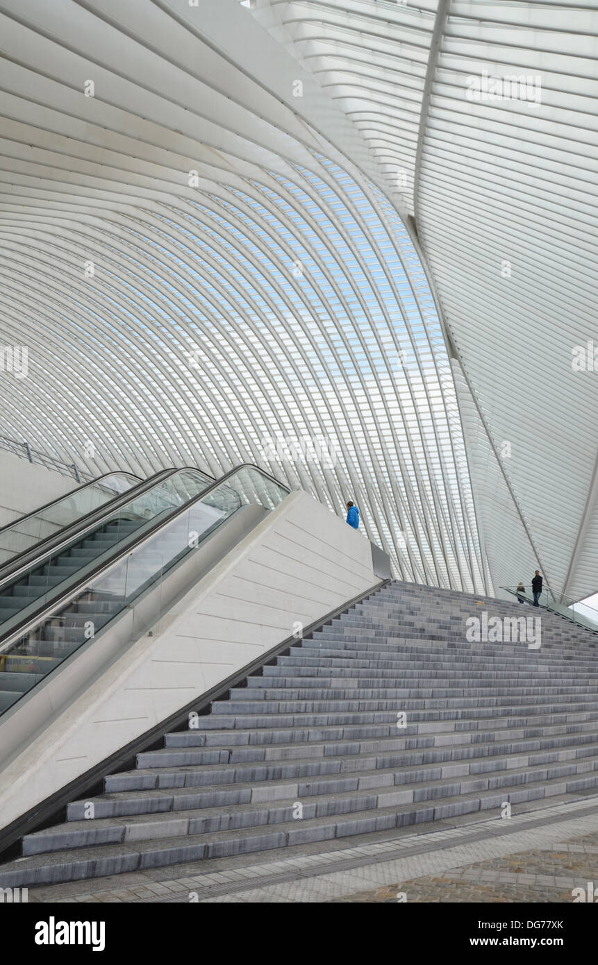 Bahnhof Liège-Guillemins entworfen vom Architekten Santiago Calatrava in Lüttich Belgien Stockfoto