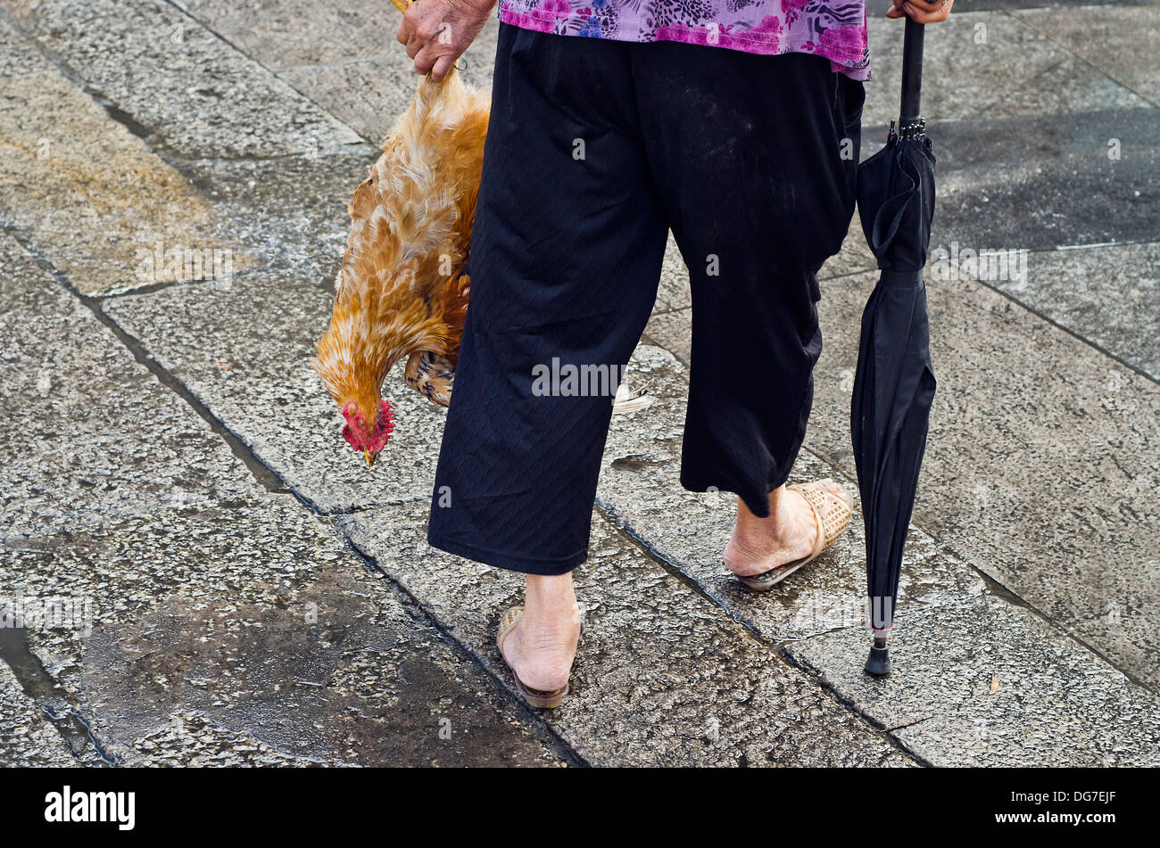 Frau mit Huhn aus dem Markt Shawan, China Stockfoto