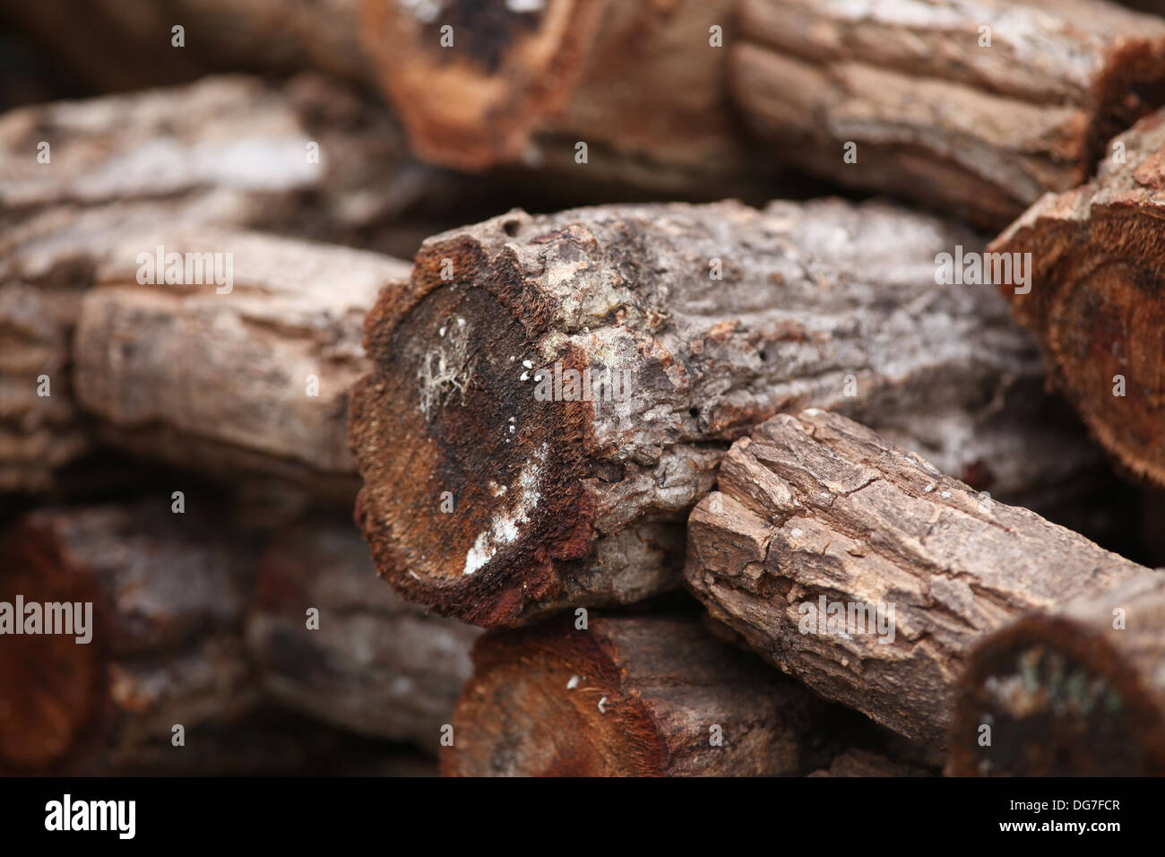 Holzstapel Stockfoto
