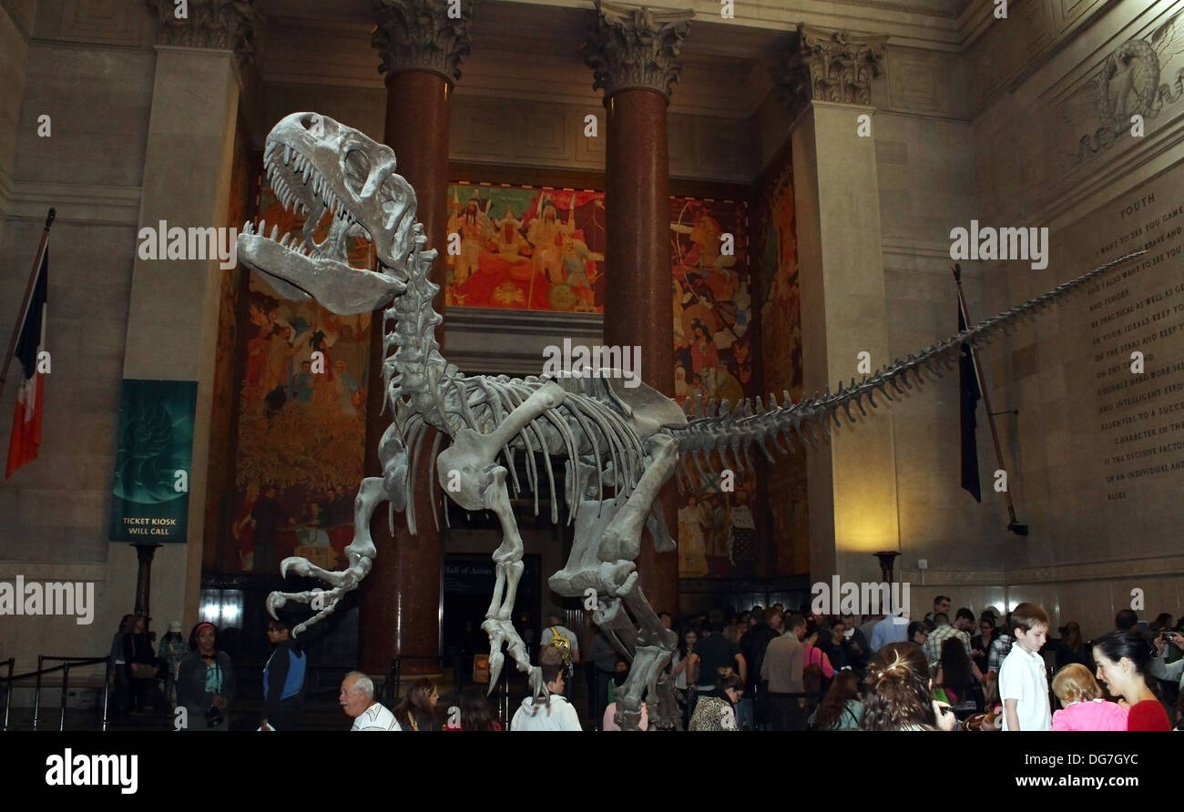 Ein Tyrannosaurus Rex erhebt sich über der Lobby des American Museum of Natural History in New York City Stockfoto