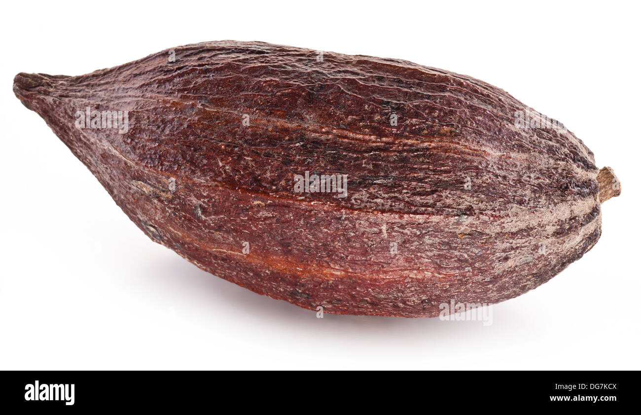 Kakaofrucht auf weißem Hintergrund. Stockfoto