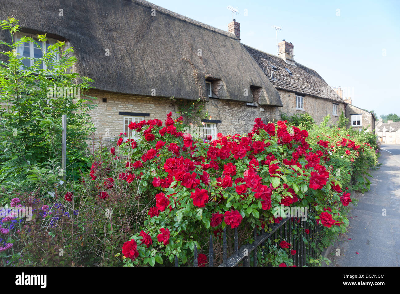 Rote Rosen wachsen unter Eisengitter im Garten eine strohgedeckte Hütte in Bampton, Oxfordshire. Stockfoto
