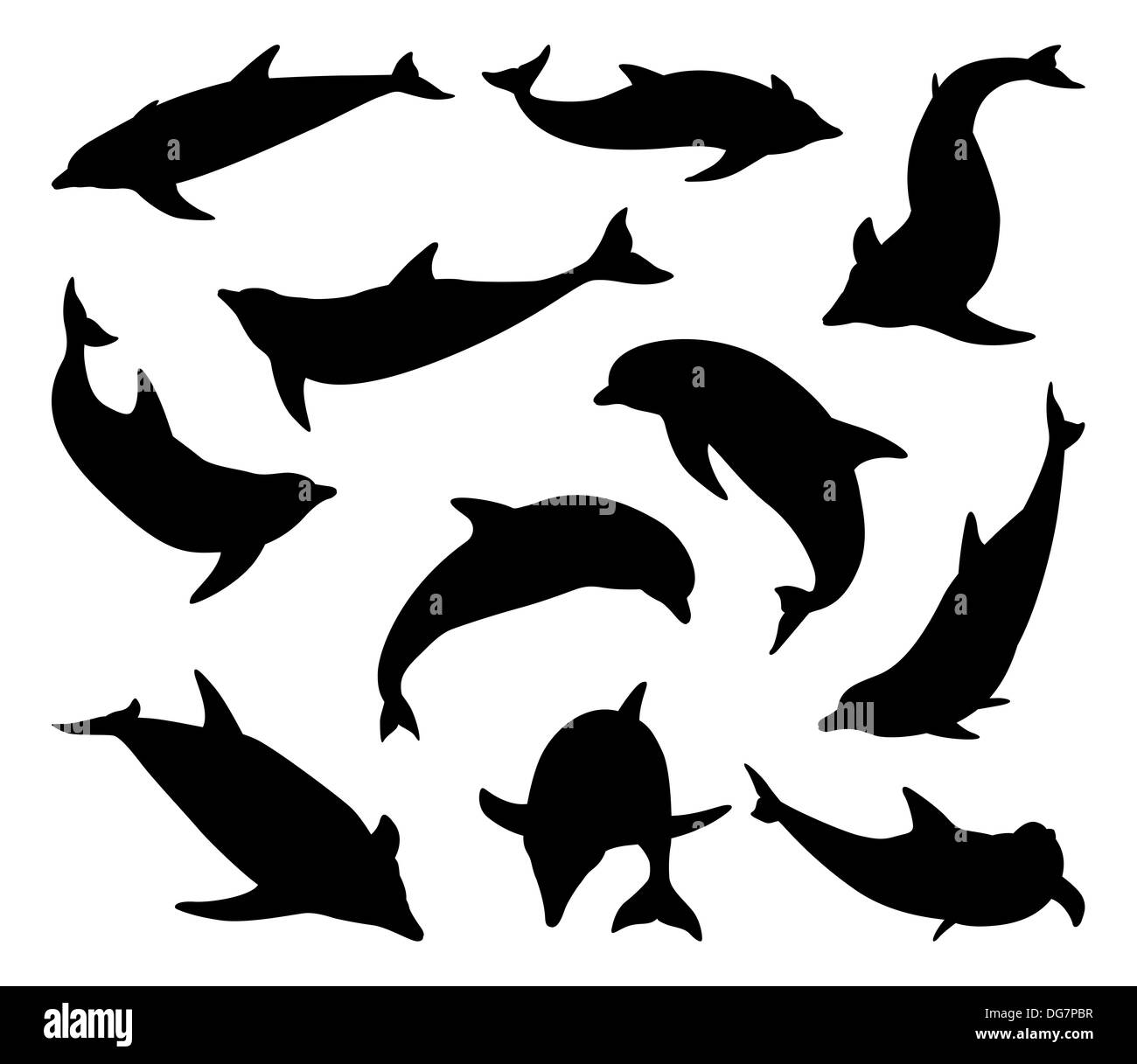 Eine Reihe von Delphin Silhouetten in verschiedenen Positionen und aus verschiedenen Blickwinkeln Stockfoto