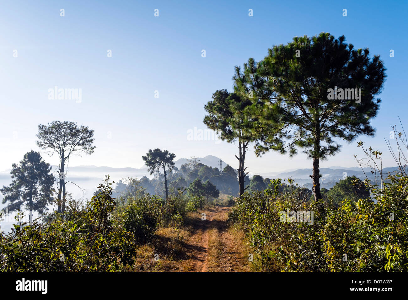 Spur in den Bergen in der Nähe von Kalaw, Myanmar, Asien Stockfoto