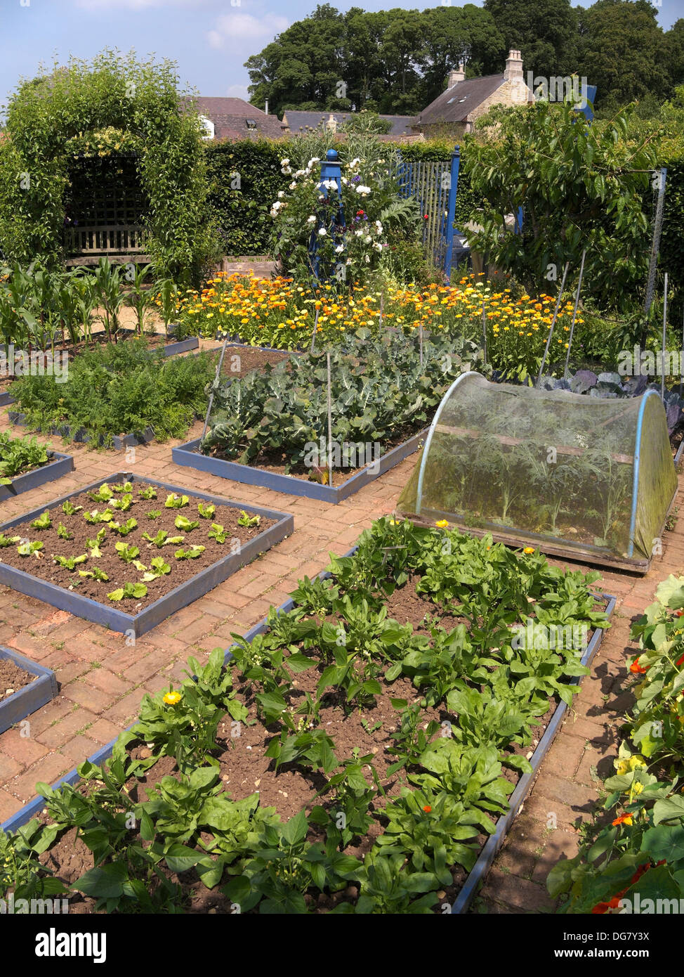 Hochbeeten, Gemüsegarten, Barnsdale Gärten, Oakham, Rutland, England, UK. Stockfoto
