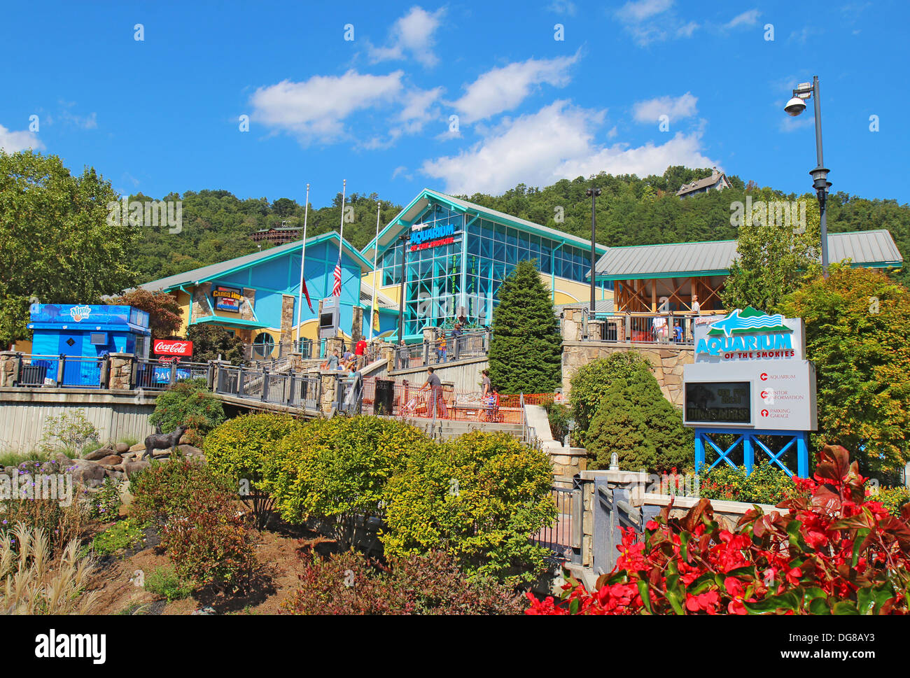 Ripleys Aquarium die Smokies in der Innenstadt von Gatlinburg, Tennessee Stockfoto