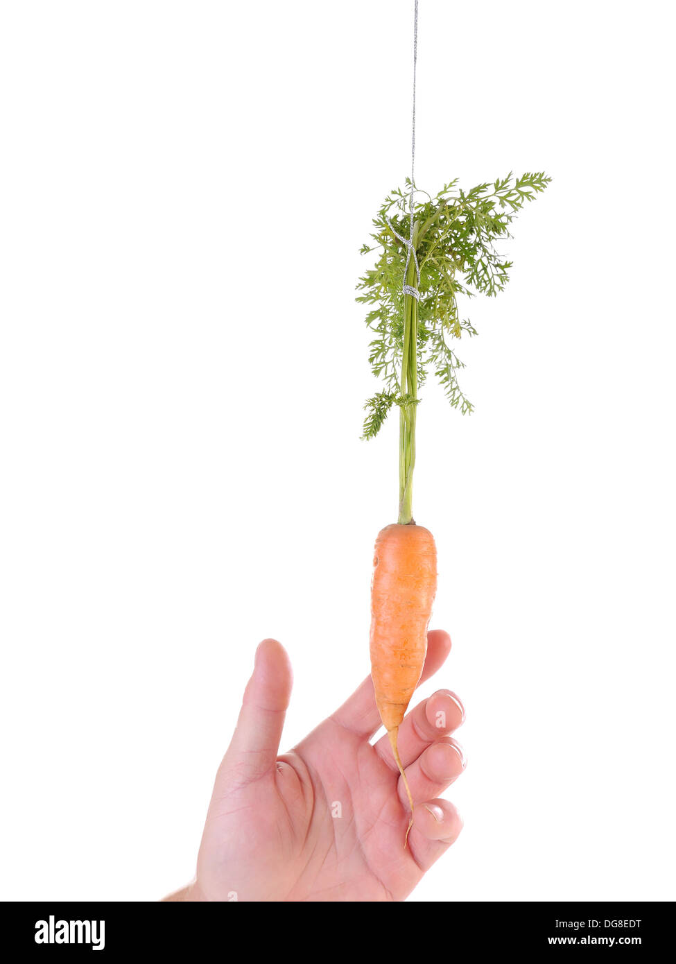 Hand, die versucht, eine Karotte hängen zu erreichen an einer Schnur - Zuckerbrot und Peitsche nähern Metapher Stockfoto