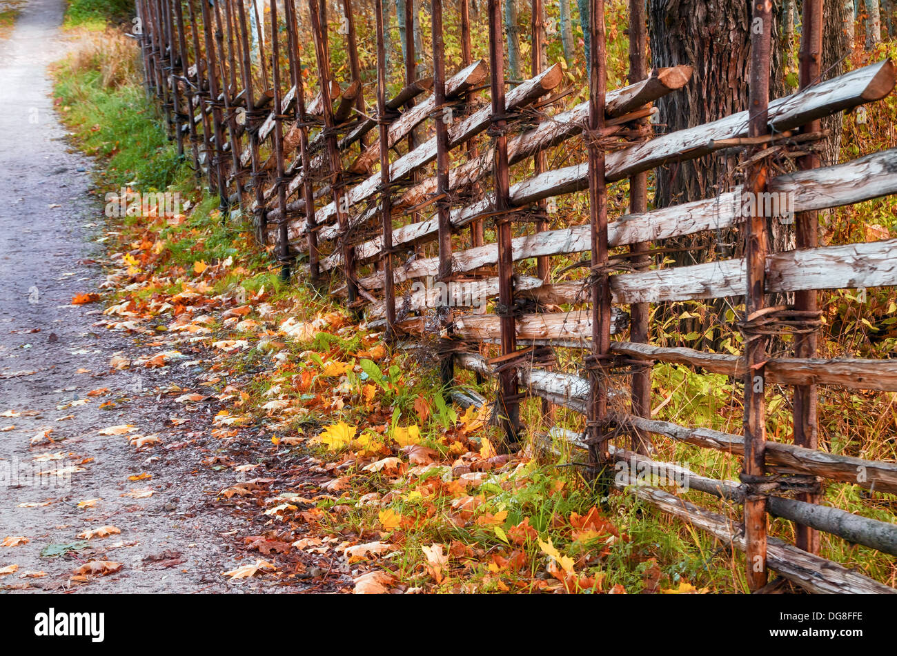 Alte hölzerne Roundpole Zaun von Herbst Landstraße Stockfoto