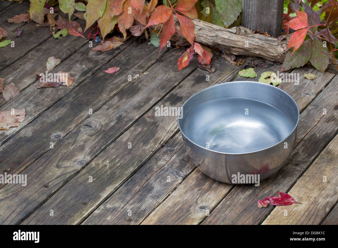 ein Metall Wasserschale für einen Hund auf Holzterrasse mit Rebe Laub Stockfoto