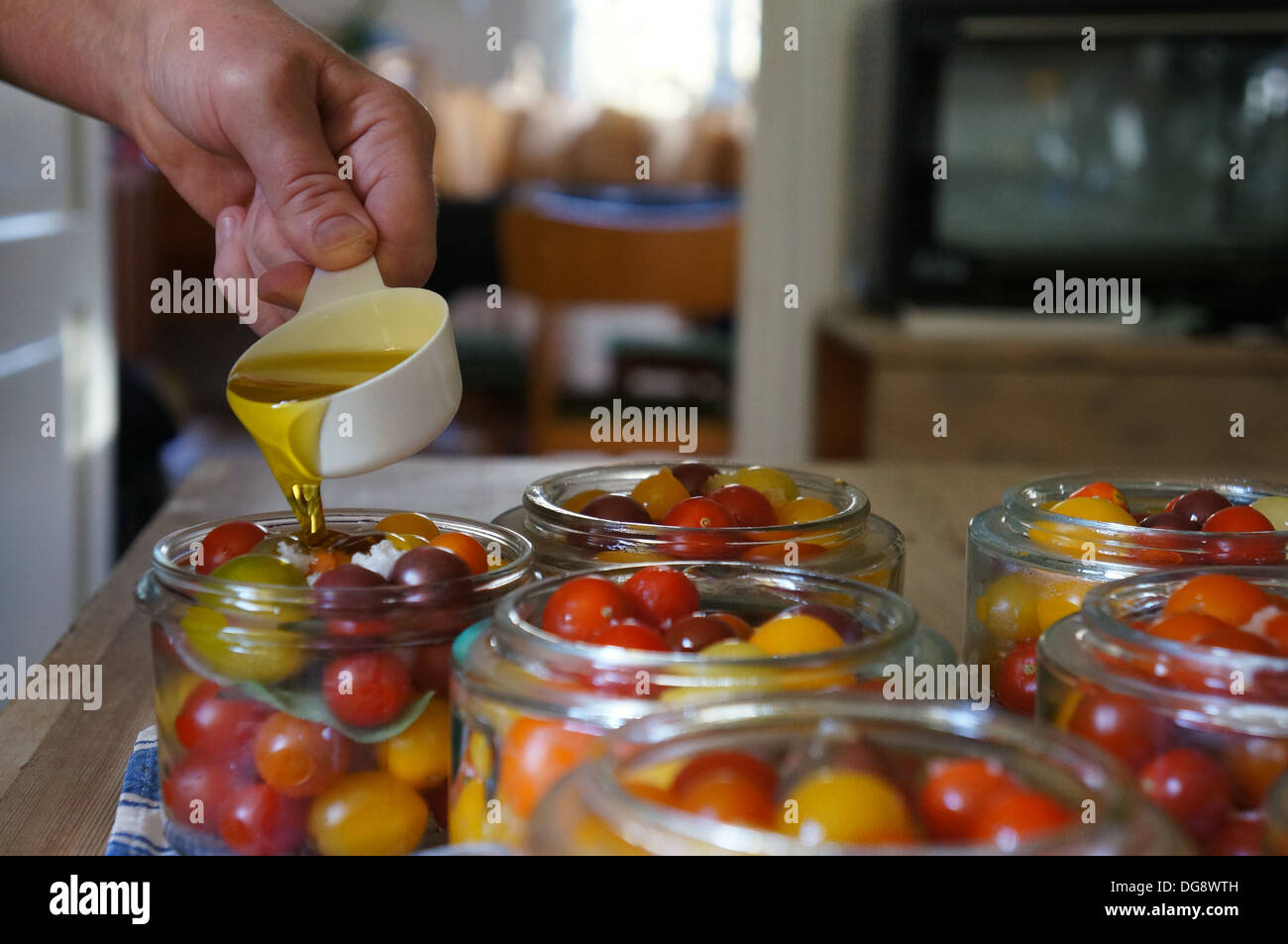 Canning Tomaten Stockfoto
