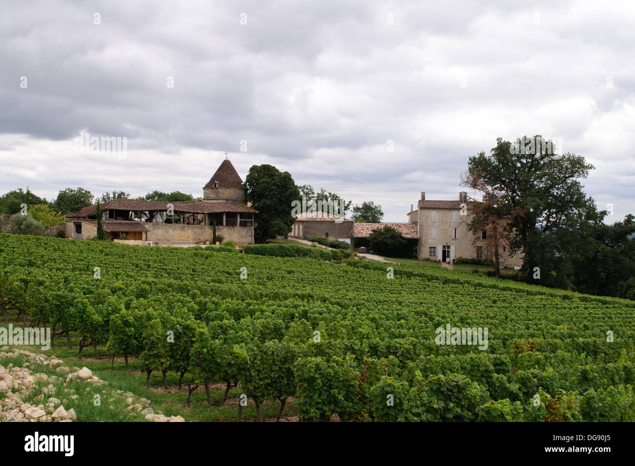 Weinberge in Sainte-Croix-du-Mont in Bordeaux Weinregion Frankreichs Stockfoto