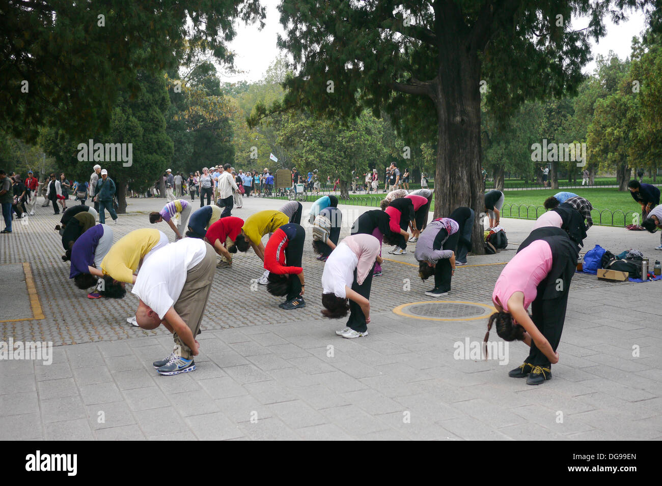 China, Beijing, Tai Chi im park Stockfoto