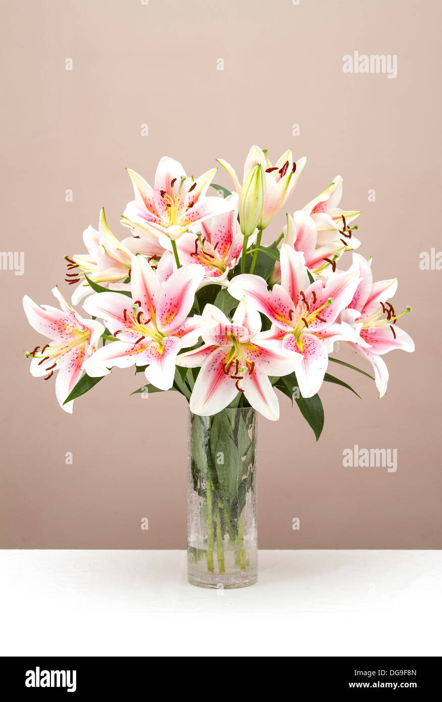 Bouquet von rosa Lilien in einer Glasvase Stockfoto