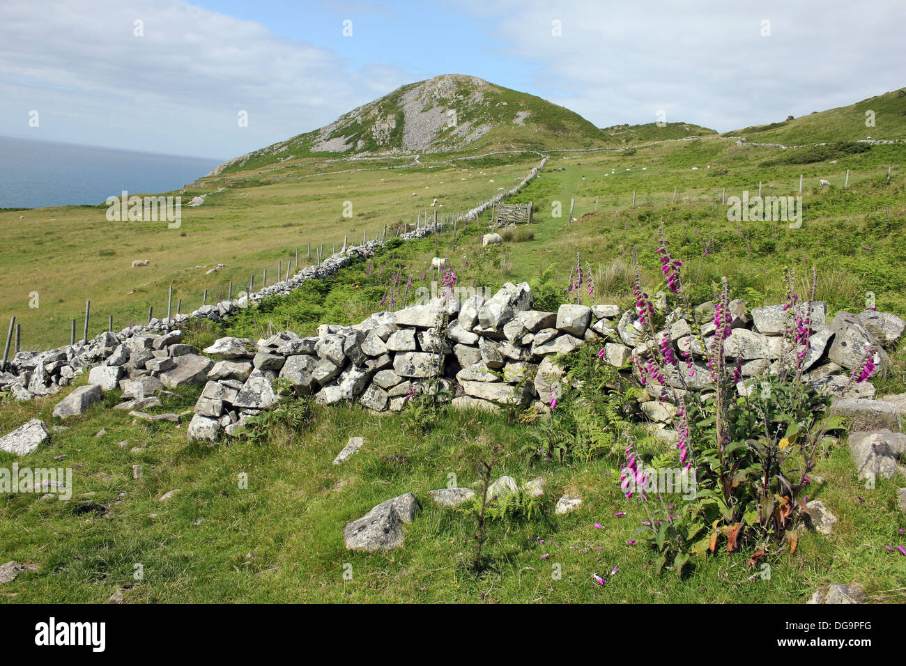 Landschaft bei Pistyll, Llyn Halbinsel, Wales Stockfoto