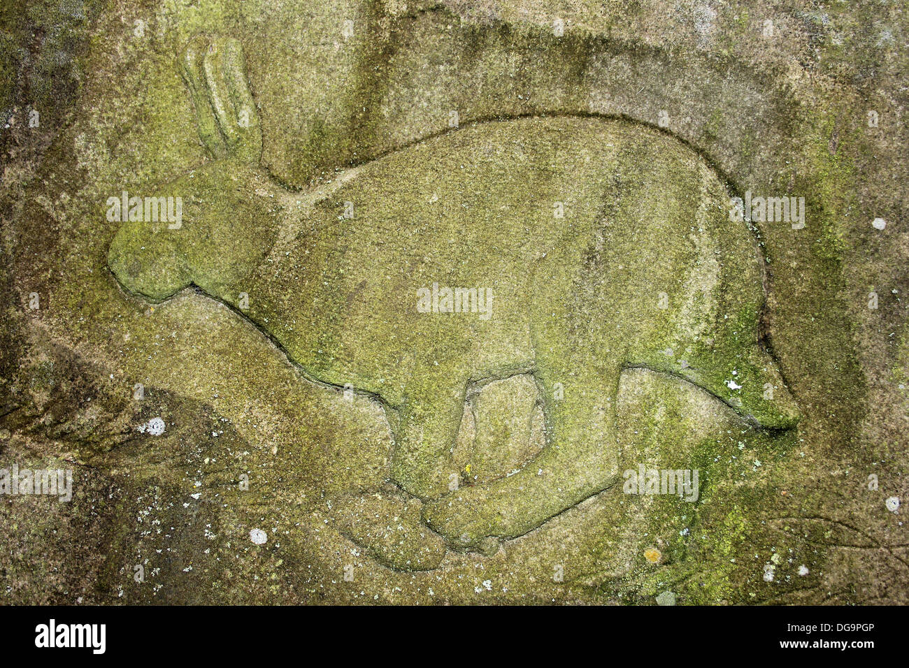 Stone Carving eines Kaninchens Stockfoto