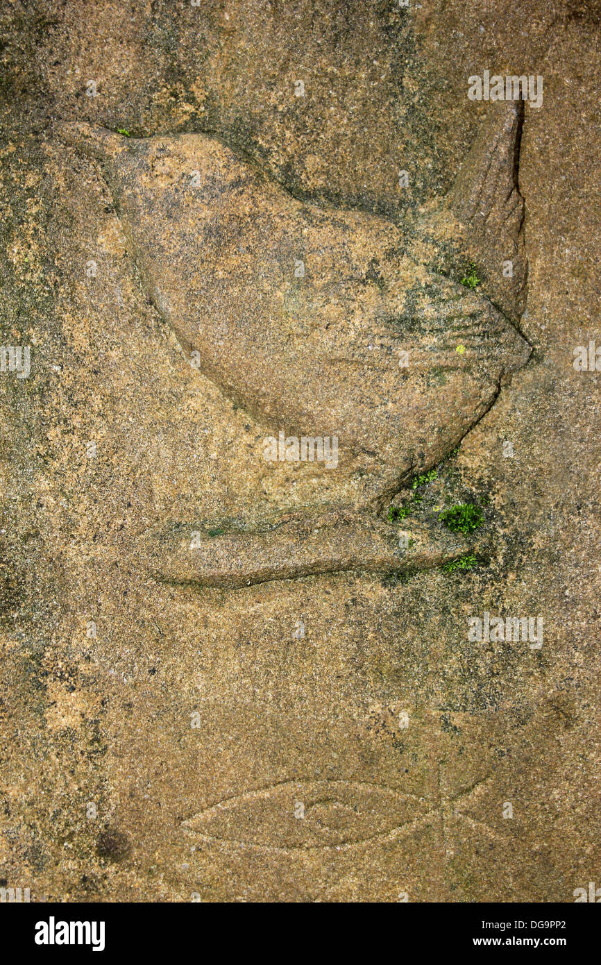 Stone Carving von Wren bei Carsington Wasser, Derbyshire, UK Stockfoto