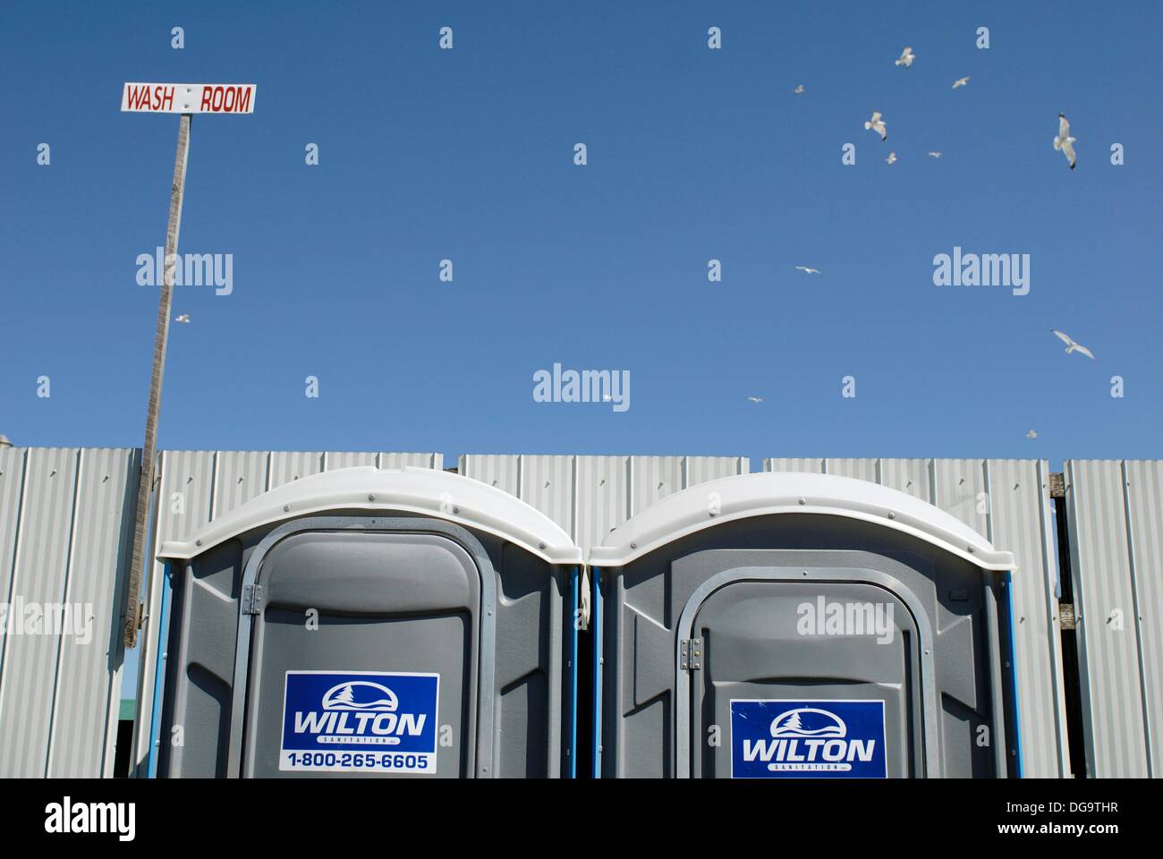 Kanada, Ontario, Keady. Juli 2010. Humorvolle Foto von mobilen Toiletten und eine Herde von Möwen fliegen. Stockfoto