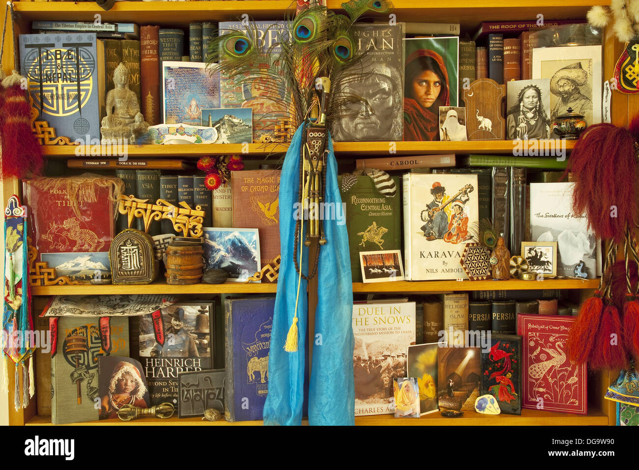 Reise- und Exploration Bibliothek, alte Bücher über Tibet und Zentralasien Stockfoto