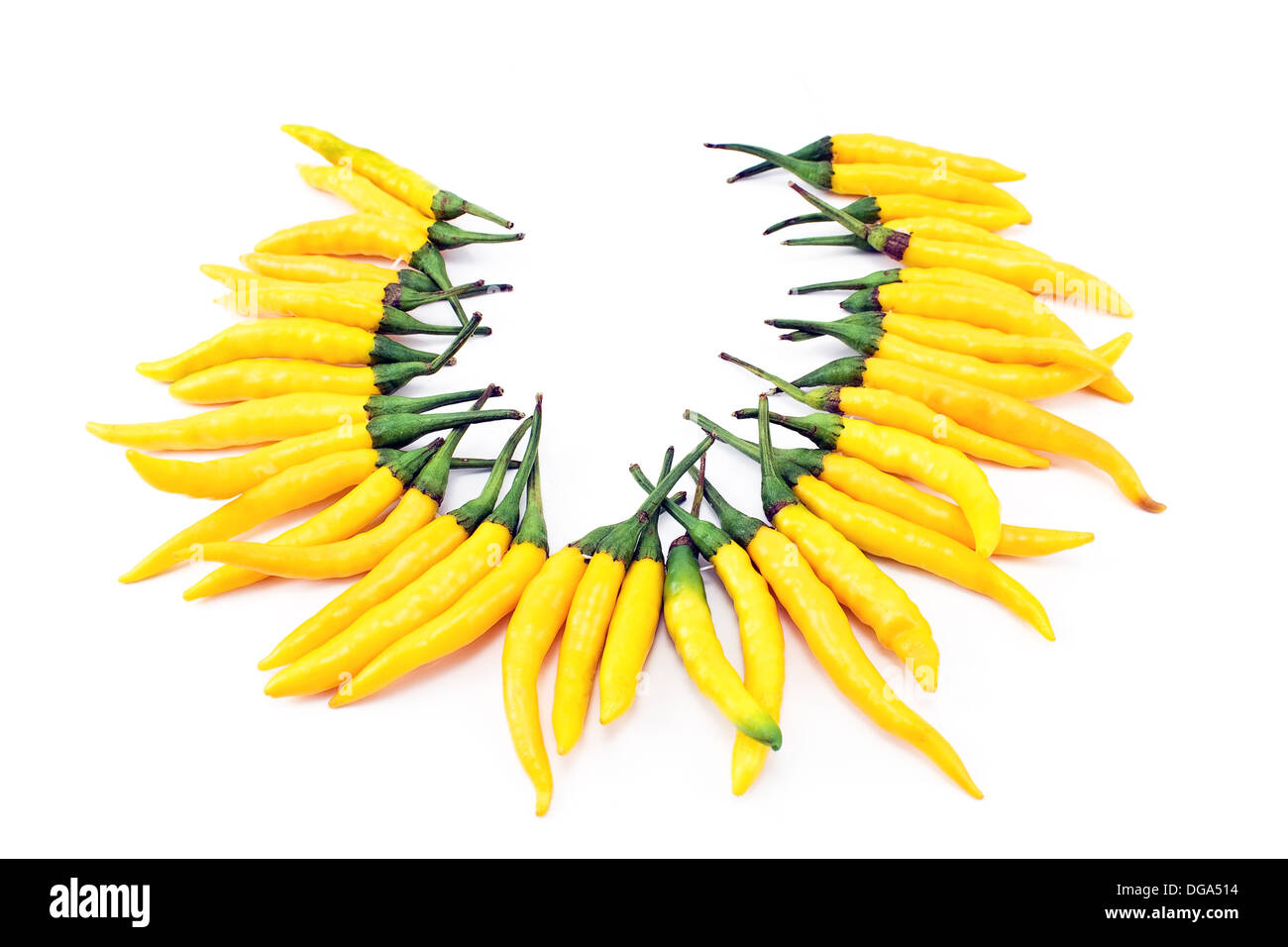 Chili-Pfeffer isoliert auf weißem Hintergrund Stockfoto