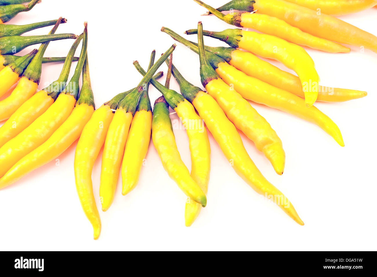 Chili-Schote auf weißem Hintergrund Stockfoto