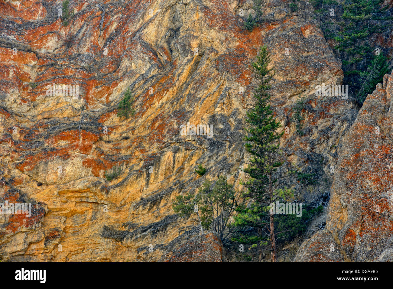 Granat Mineralformationen Kalkstein in der Nähe von Bearmouth Pass in der Nähe von Drummond Montana USA Stockfoto