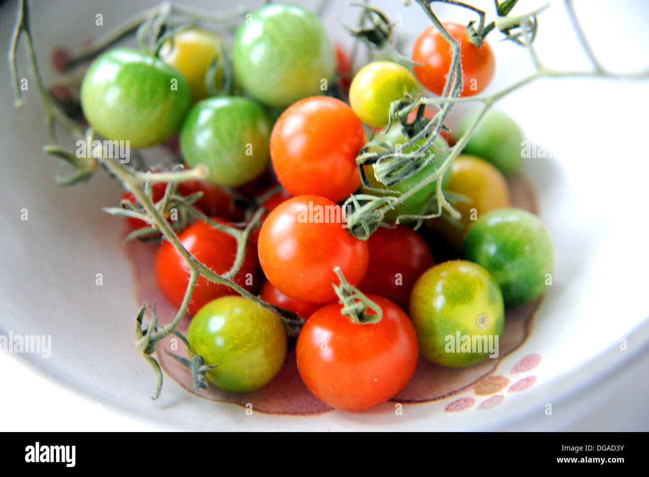 Nach Hause angebauten grüne und rote Kirschtomaten Reifung in eine Schüssel geben Stockfoto