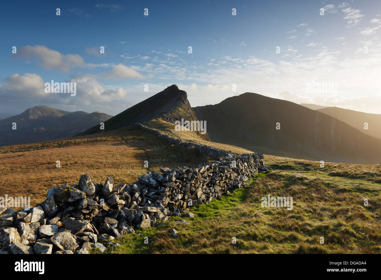 Trockenmauer auf Y Garn suchen in Richtung Mynydd Drws-y-Coed. Nantlle Ridge. Snowdonia-Nationalpark. Gwynedd. Wales. VEREINIGTES KÖNIGREICH. Stockfoto