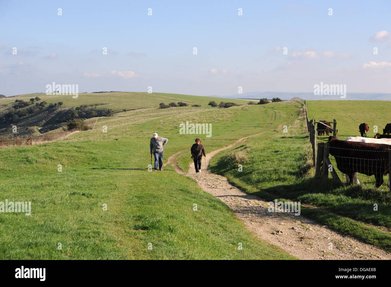 Blick entlang der South Downs Way in Ditchling Leuchtfeuer in der Nähe von Brighton, Sussex UK Stockfoto