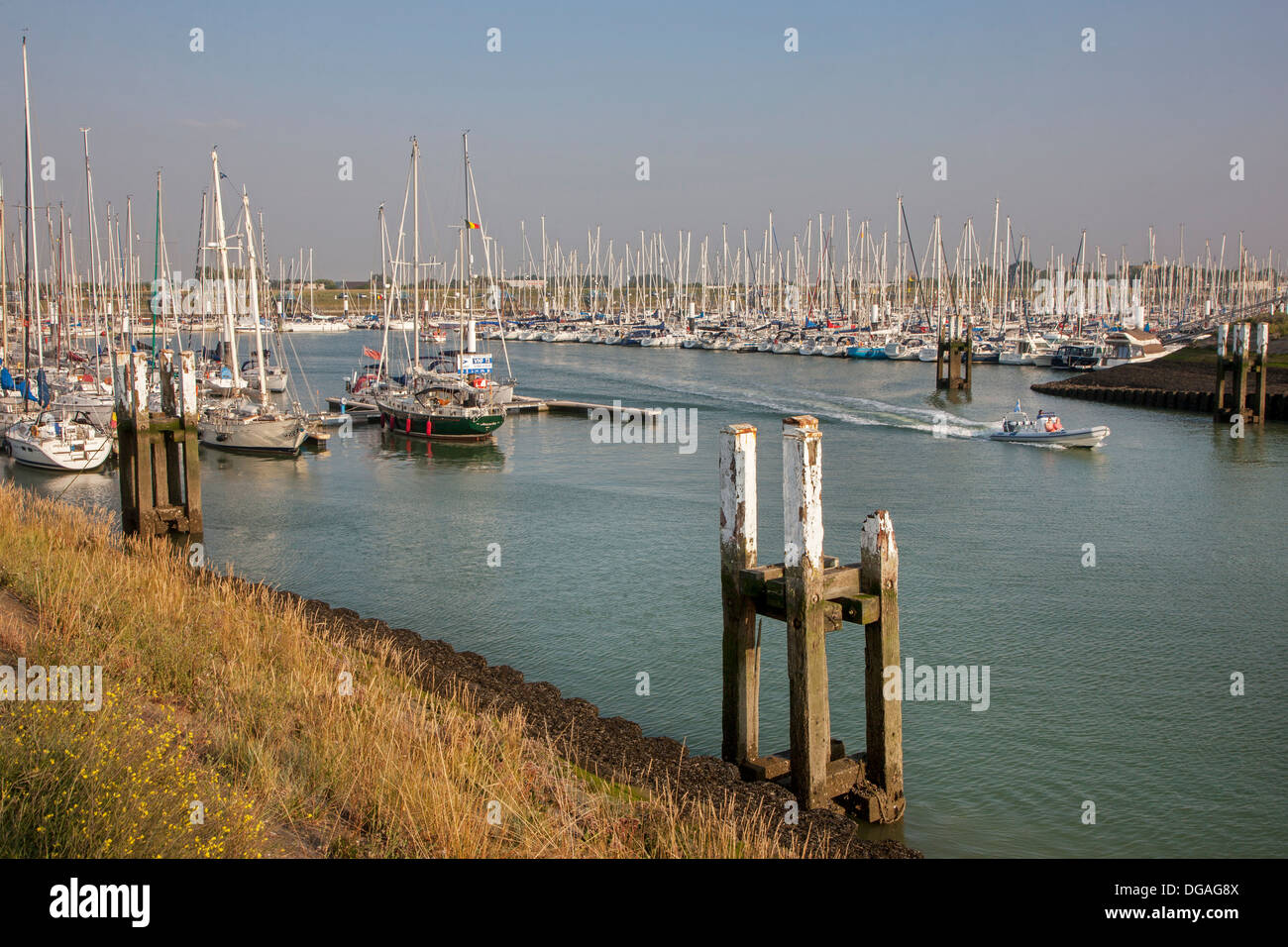 Yachten und Segelboote auf den Yachthafen / Marina bei Nieuport / Nieuwpoort entlang der Nordseeküste, Belgien Stockfoto