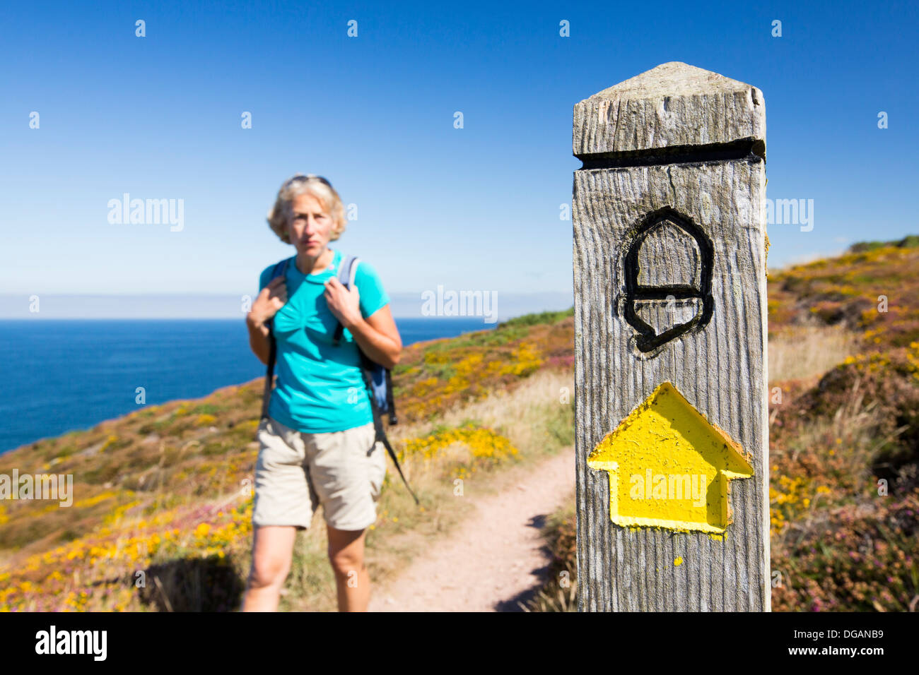 Der South West Coast Path in der Nähe von St. Agnes, Cornwall, UK. Stockfoto