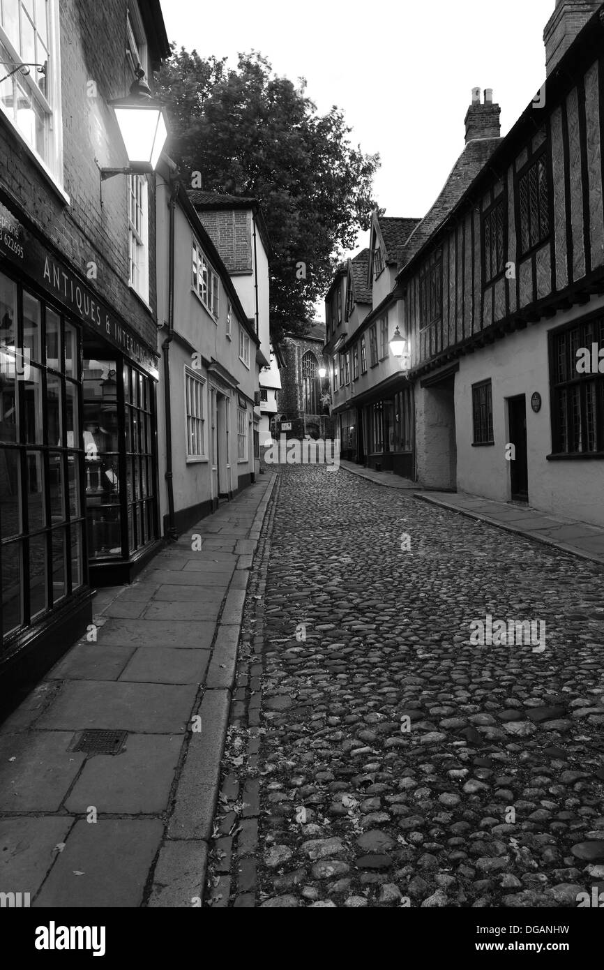 Tudor Periode Architektur und Geschäfte, schmalen gepflasterten Straße, Elm Hill, Gassen, Norwich City, Norfolk County, England, UK Stockfoto