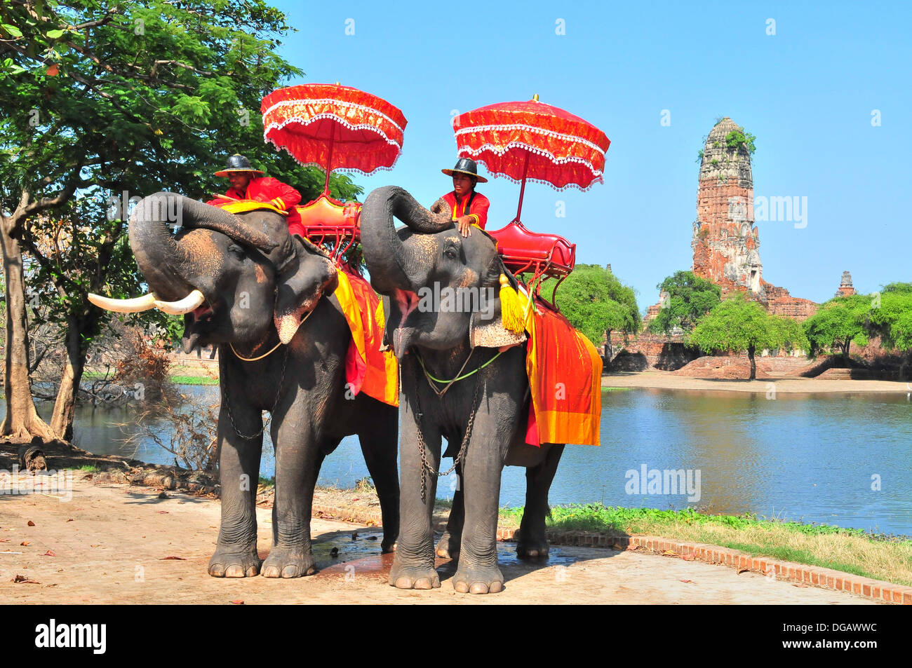 Elefanten Reiten rund um Ayutthaya Historical Park Stockfoto