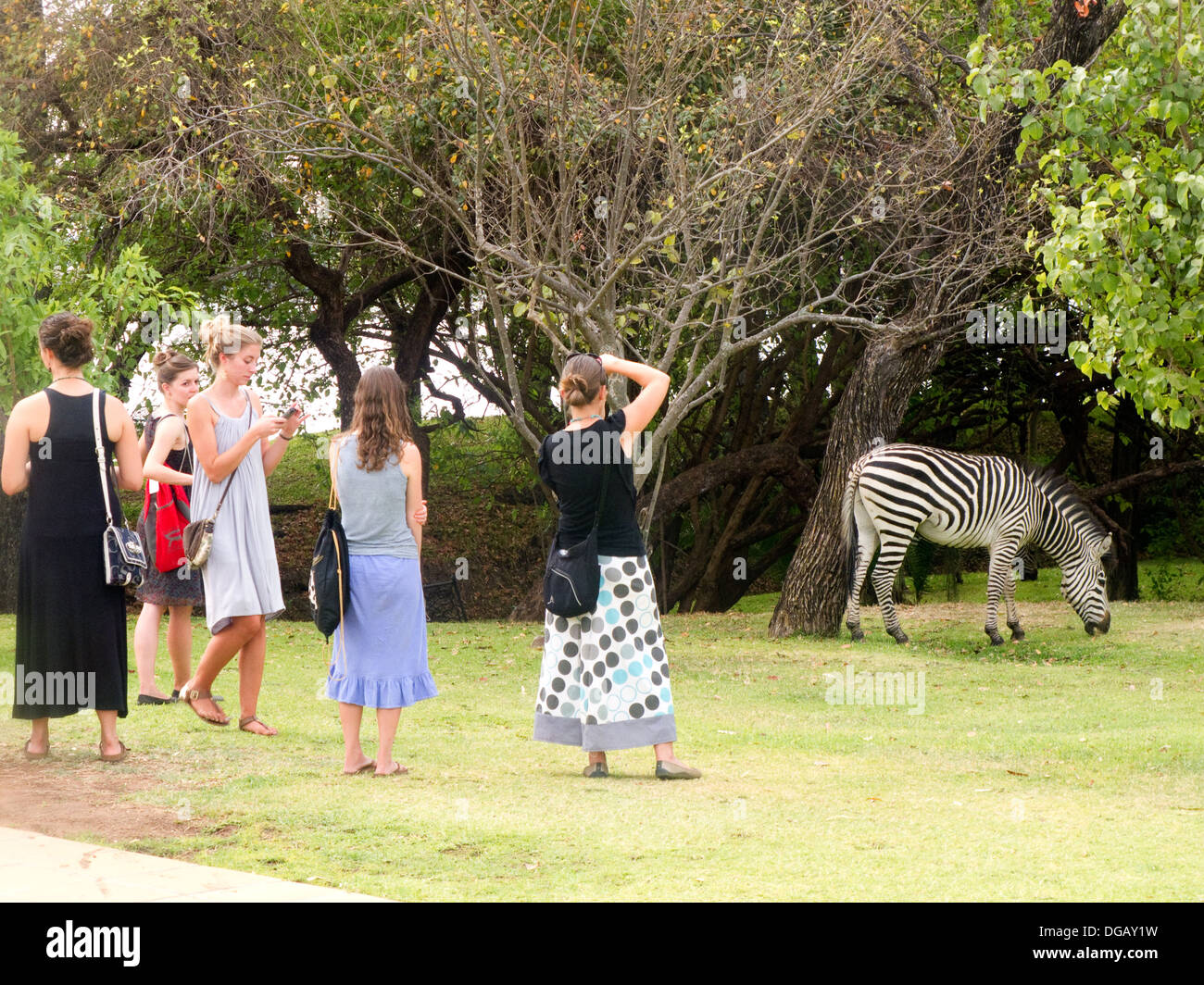 Junge Frauen Gäste auf einen afrikanischen Urlaub fotografieren der Tiere, The Royal Livingstone Hotel Victoria Falls Sambia Afrika Stockfoto