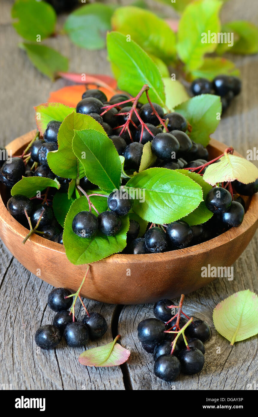 Schwarze Apfelbeere in braunen Schüssel auf Holztisch Stockfoto
