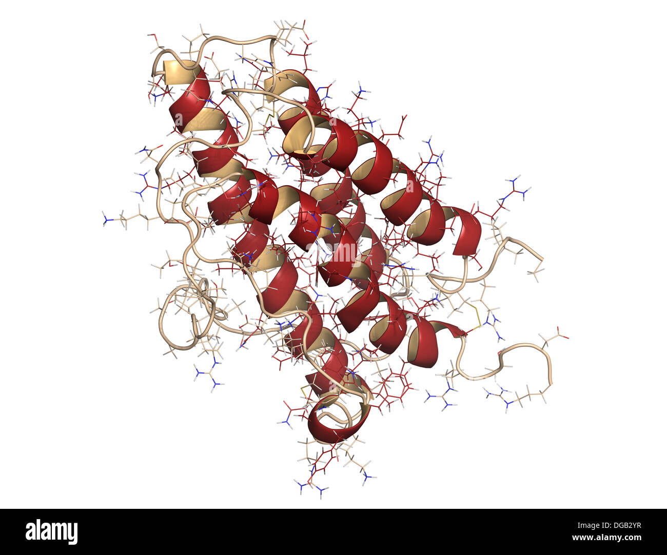 Erythropoetin (EPO, Epoetin) Protein Hormon. Stimuliert die Produktion von roten Blutkörperchen. Als Medikament und im Sport doping verwendet. Stockfoto