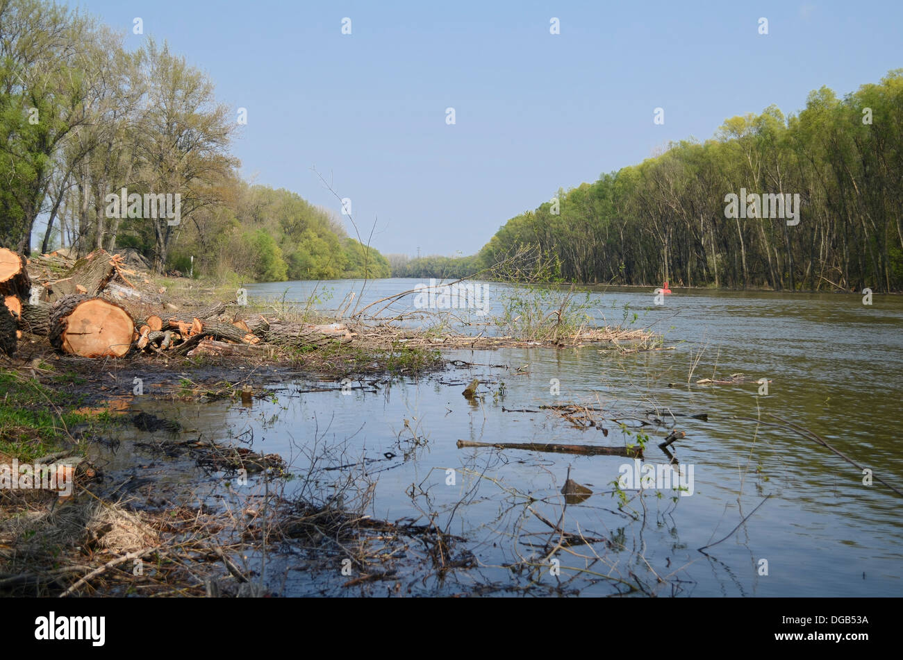 Sonnigen Donau nach Frühjahr schneiden von Holz Stockfoto