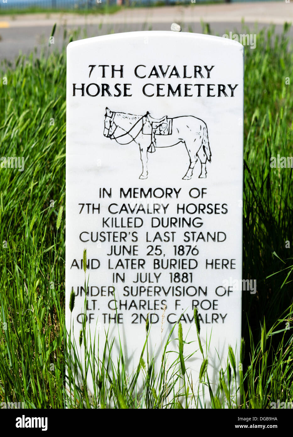 Marker für die 7. Kavallerie Pferd Friedhof auf dem letzten Stand Hill, Little Bighorn Battlefield National Monument, Montana, USA Stockfoto