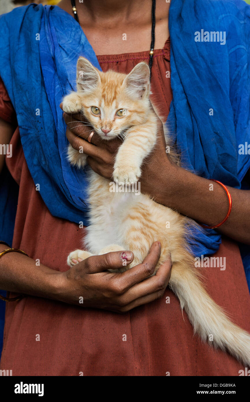 Indische Frau hält eine Ingwertee Katze / Kätzchen. Andhra Pradesh, Indien Stockfoto