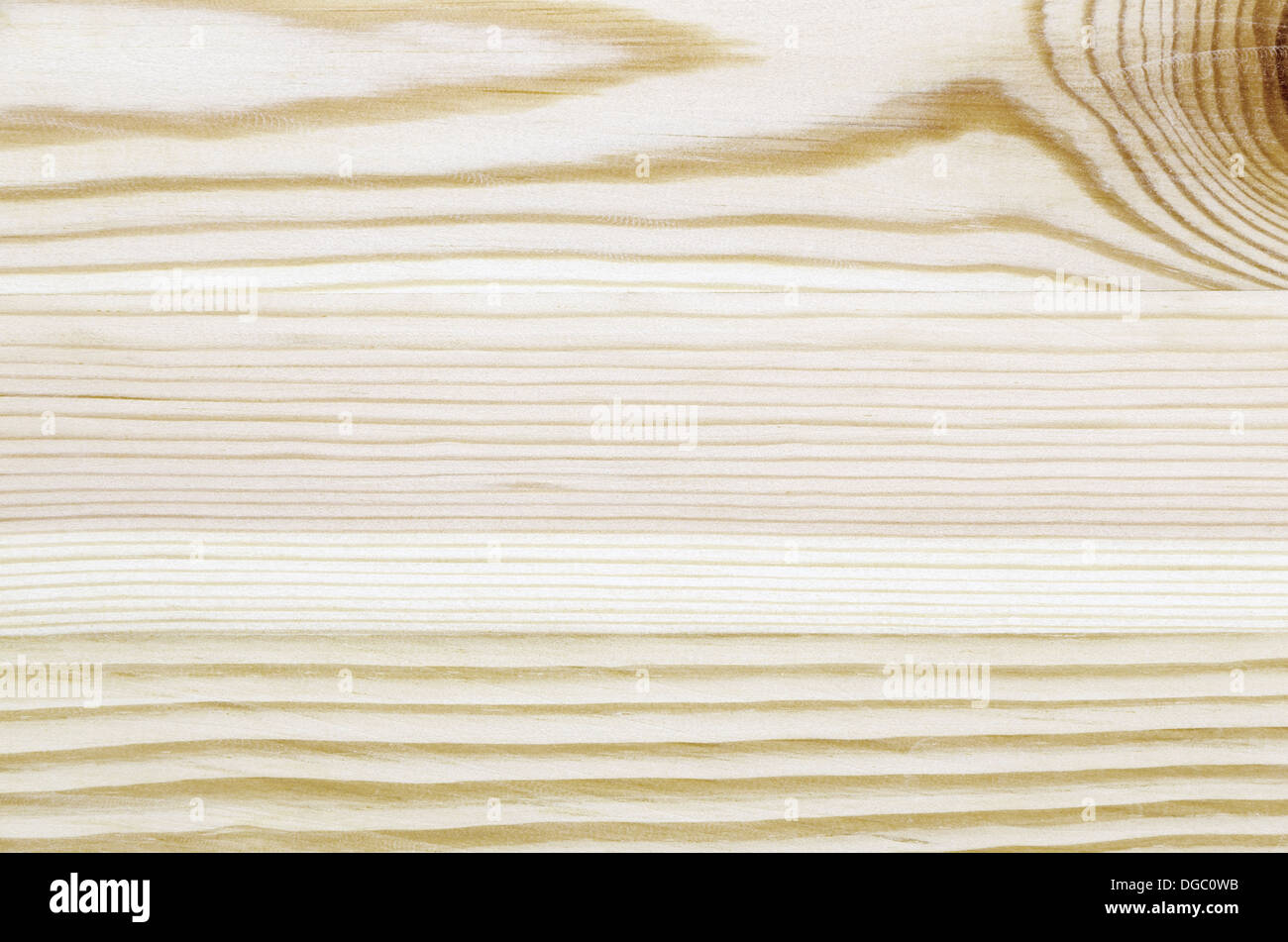 detaillierten weichen hellen Holz Hintergrund Stockfoto