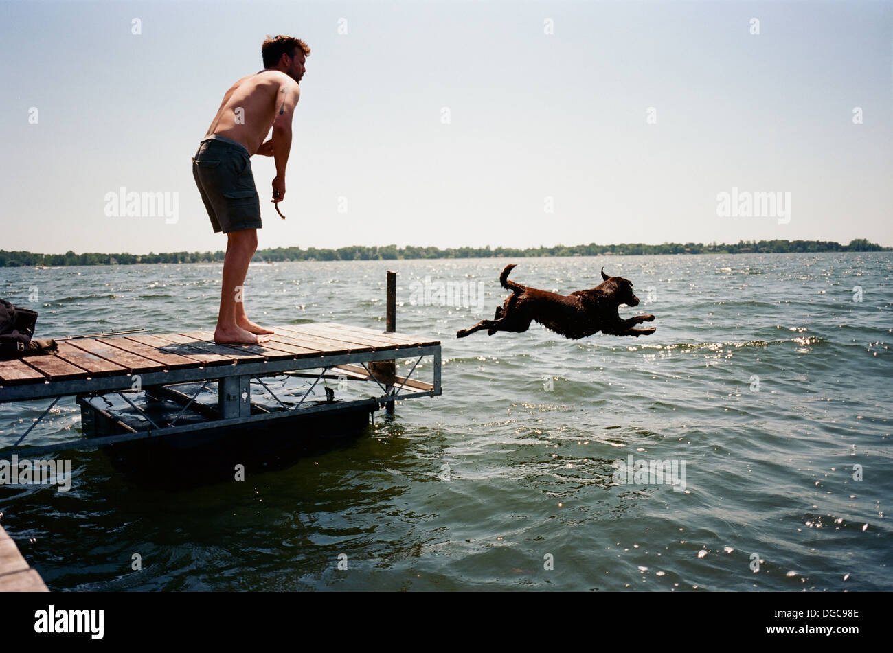 Junger Mann beobachten Haustier Hund Sprung vom Pier ins Wasser Stockfoto