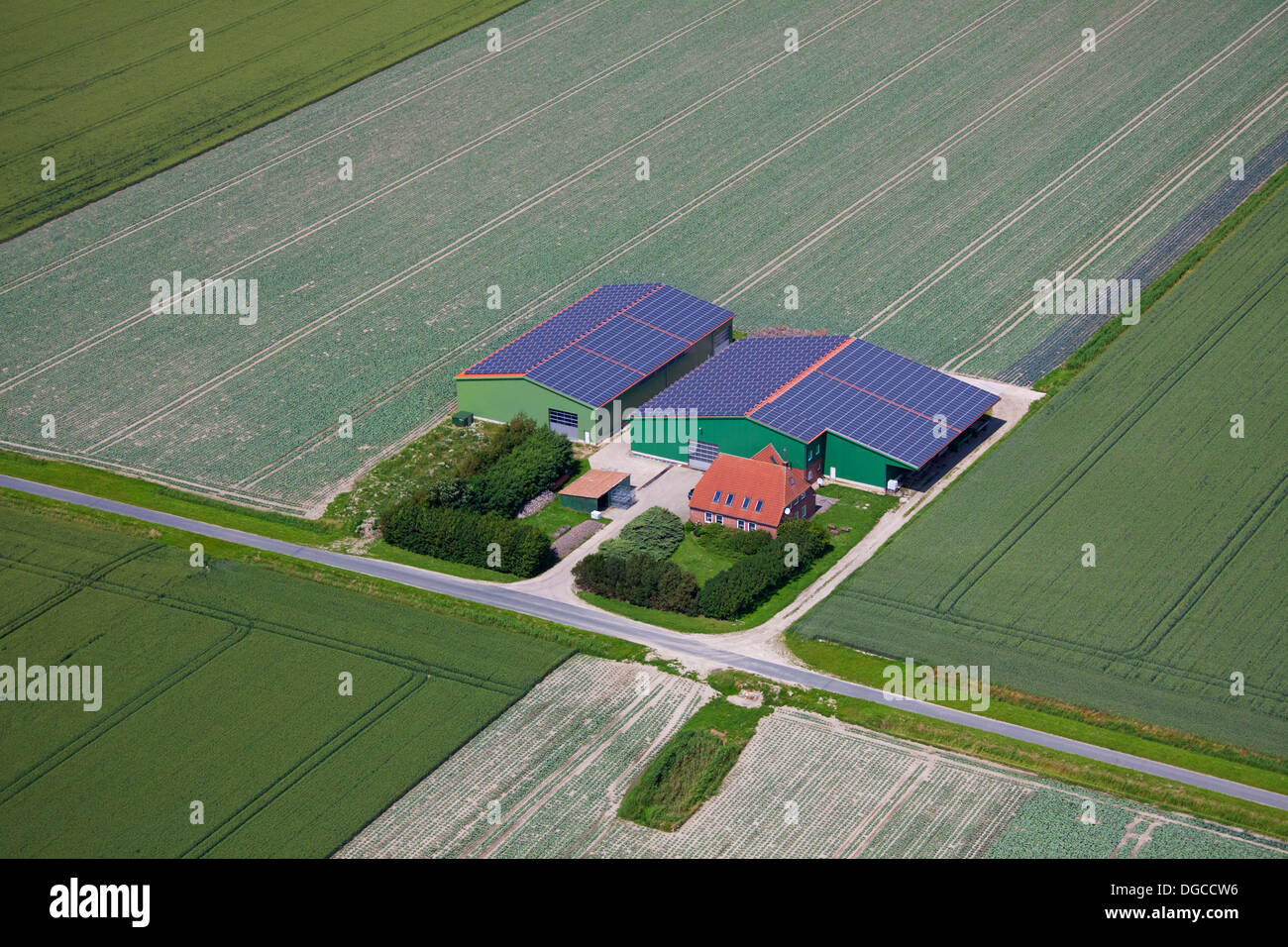 Luftaufnahme über Feld und Photovoltaik-Solarzellen am Dach von landwirtschaftlichen Gebäuden für alternative Energie zu liefern, der Bauernhof Stockfoto