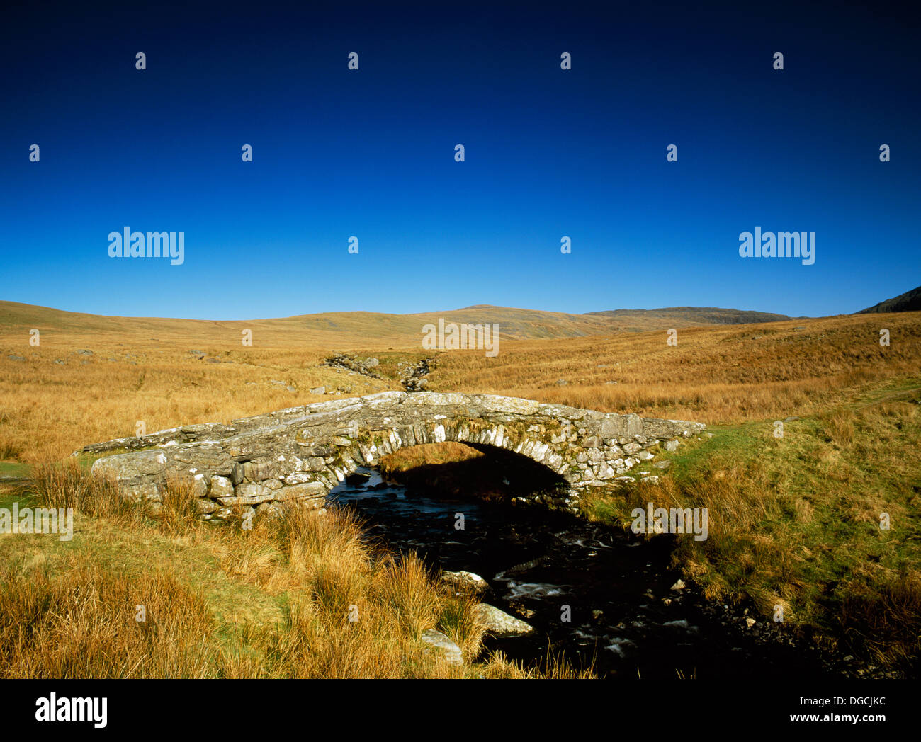 Pont Scethin, Ardudwy, Snowdonia, Wales, C18th Brücke über die Afon Ysgethin auf einem alten Weg von Viehtreiber und die von London nach Harlech Trainer verwendet. Stockfoto