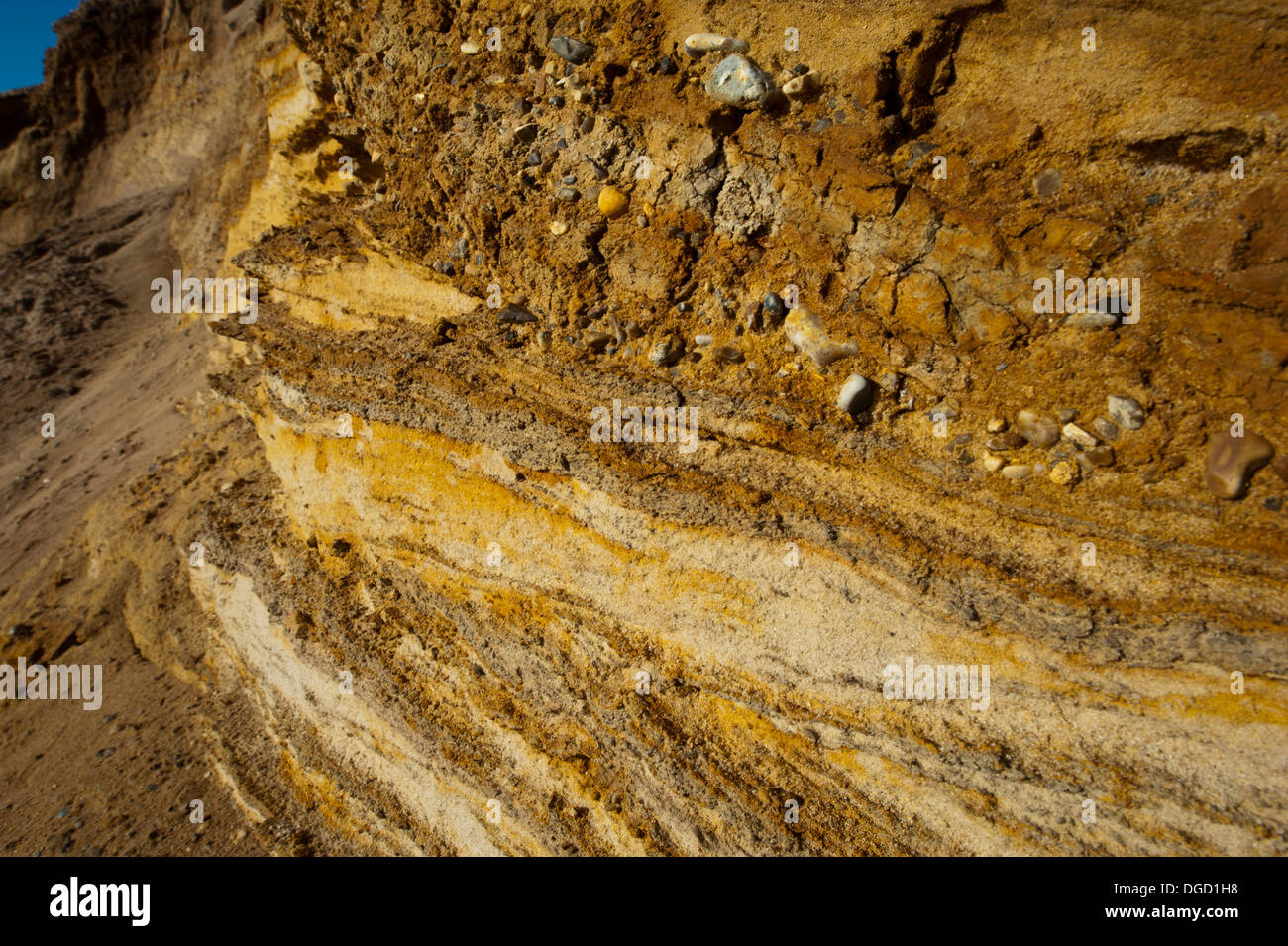 Gezeiten Erosion entlang der Küste von Suffolk Stockfoto