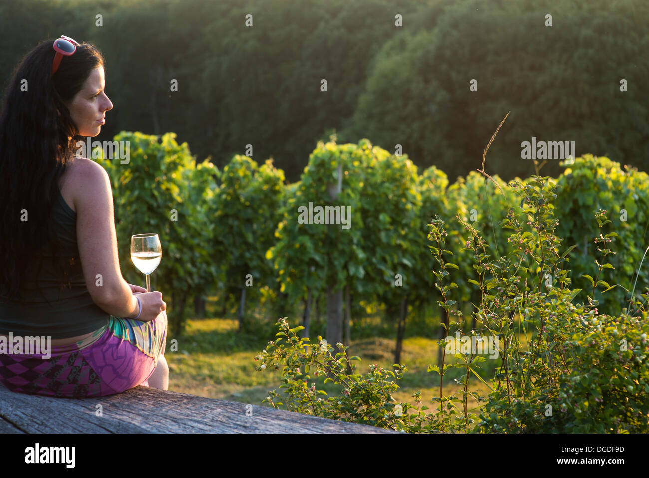 Schöne junge Frau mit einem Glas Wein in einer ruhigen Umgebung, hügelige Weinberge bei Sonnenuntergang Stockfoto