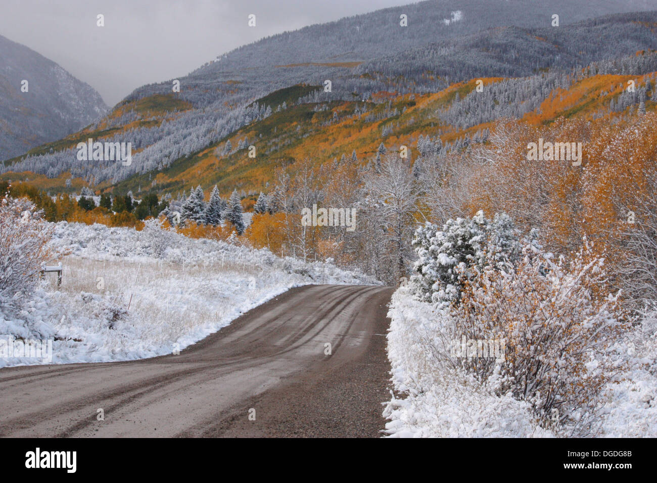 Eine schlammige Straße durchschneidet das Rocky Mountain Terrain Stockfoto
