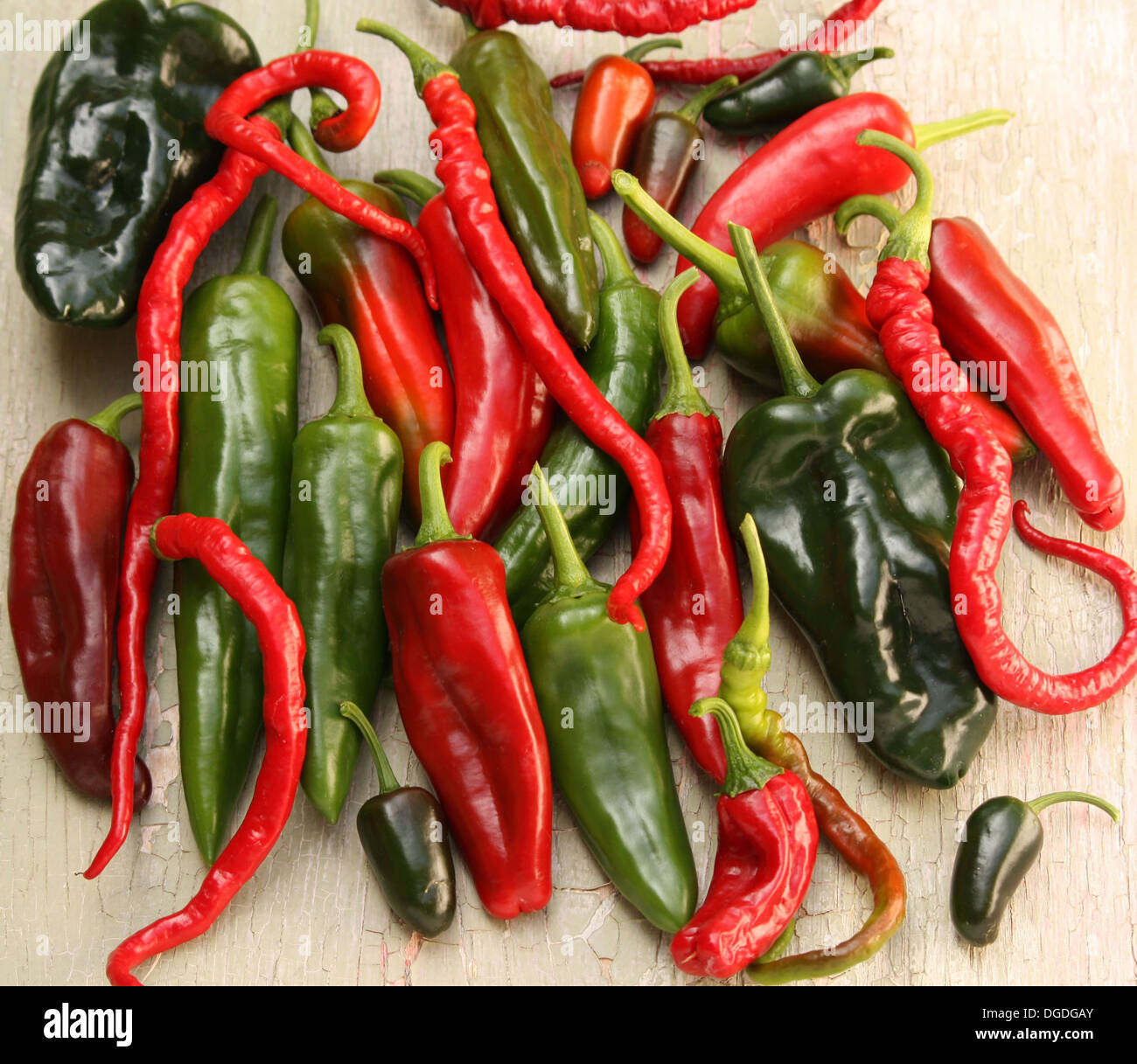 Red & Green Hot Chili Pepper-Sorten Stockfoto