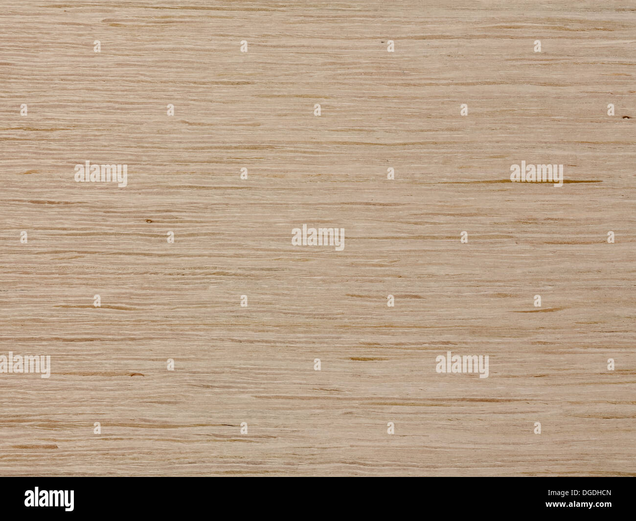 Eiche Holz Textur Stockfoto