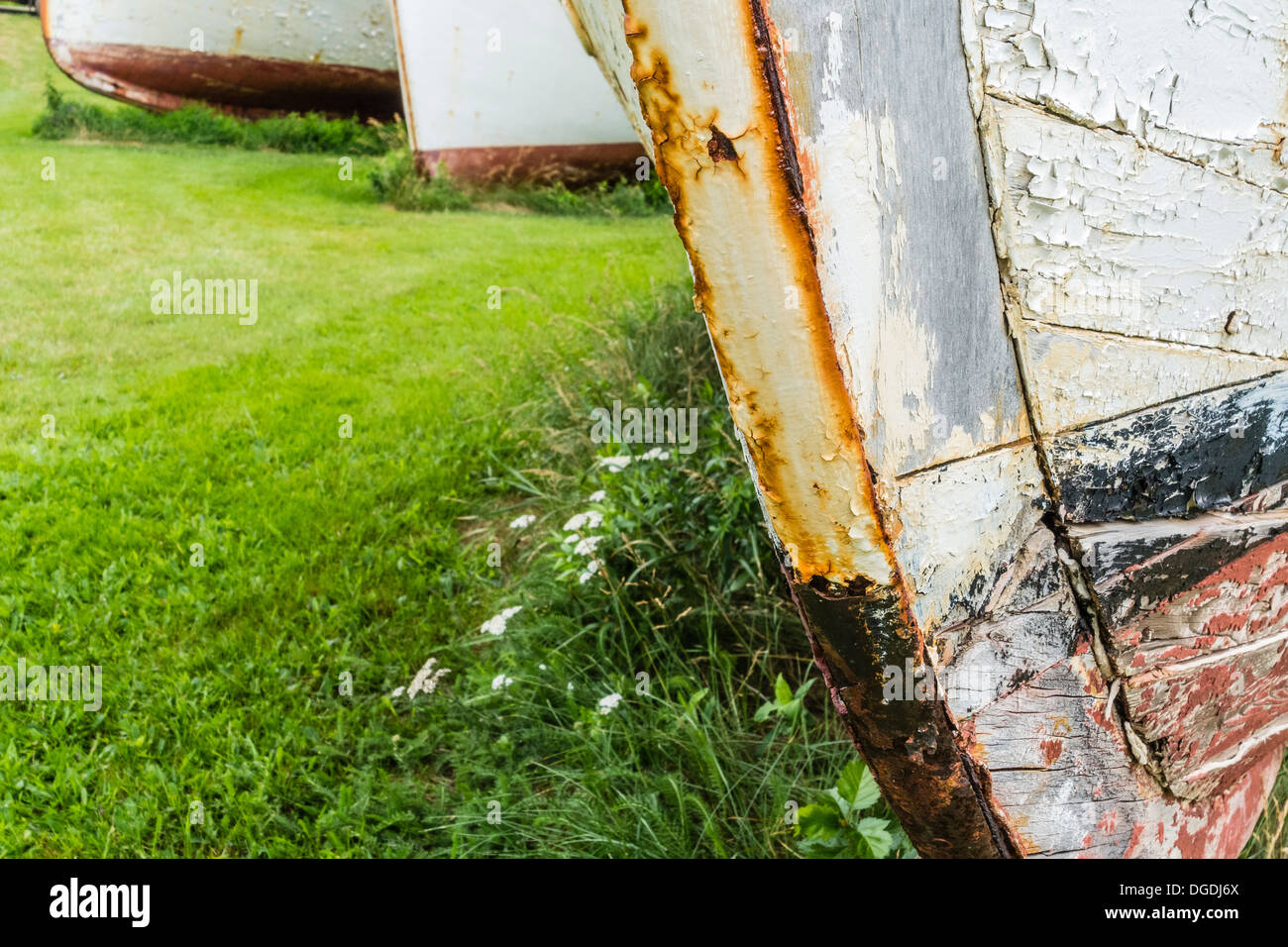 Alten rostigen Angeln Bootsrümpfe aufgereiht auf dem Rasen in einem Zustand des Verfalls, verschlechtert sich auf Prince Edward Island. Stockfoto